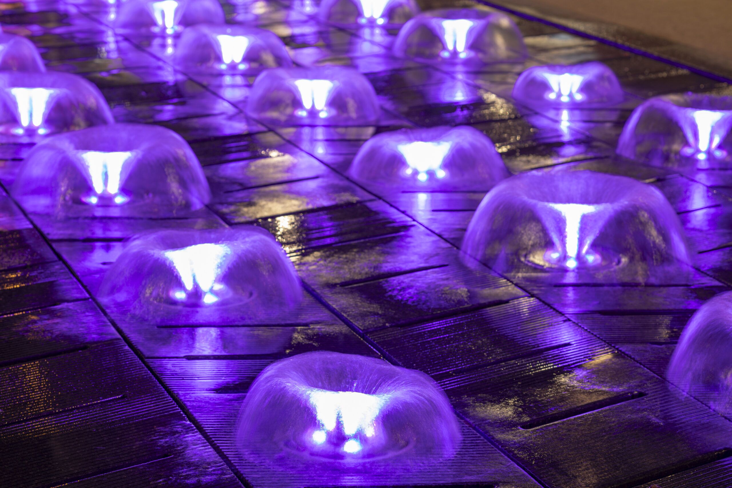 Crystal | STJ Series - Sequencing Tulip Jet STJ Series - Sequencing Tulip Jet - Image 4