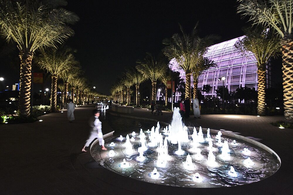 Crystal | LED160 Series - 12VDC to 24VDC - 30W Mother of the Nation Park 6